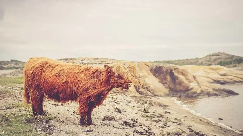 Location de matériel de nettoyage